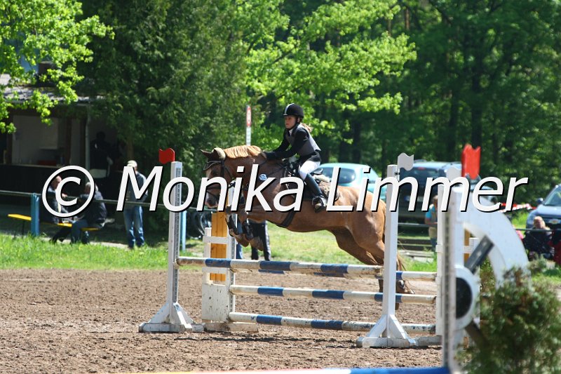 104M8153_SpringWB E.JPG